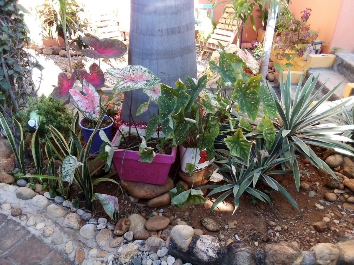 Willa Casa Gio Puerto Escondido  Zewnętrze zdjęcie