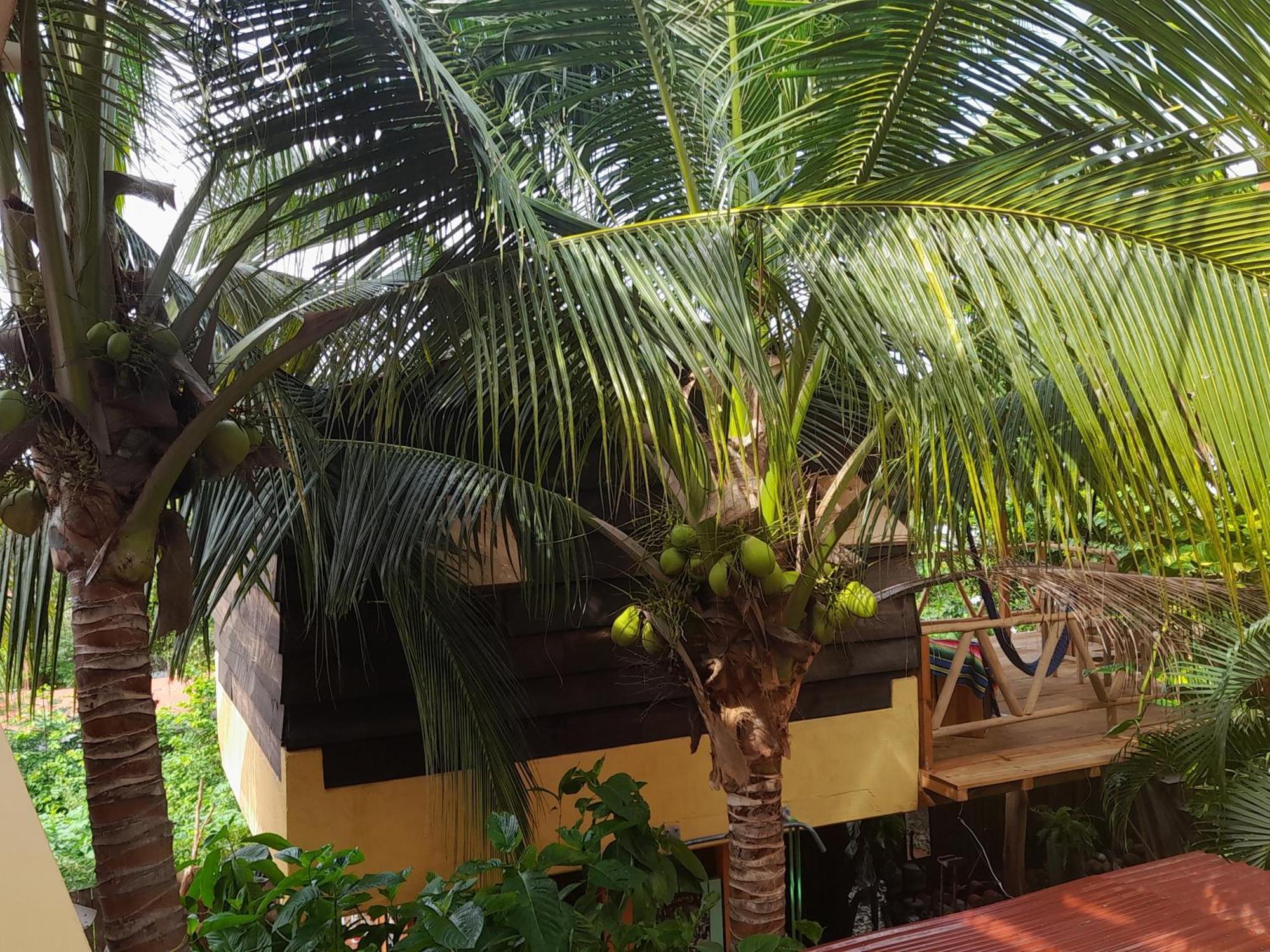 Willa Casa Gio Puerto Escondido  Zewnętrze zdjęcie