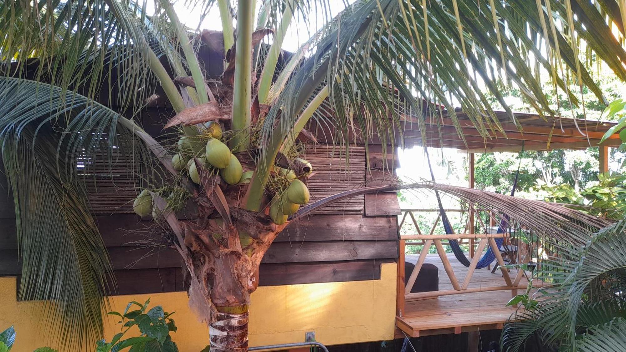 Willa Casa Gio Puerto Escondido  Pokój zdjęcie